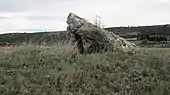 Dolmen de Palats