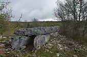 Dolmen de Planagrèze.