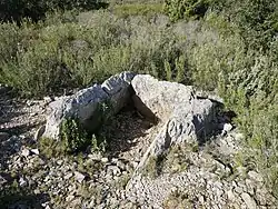 Dolmen de l'Oliva d'en David