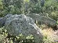 Dolmen de Valltorta