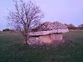 Dolmen de Verdier-Petit