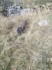 Dolmen de Coste Pialade