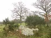 Dolmen de la Briordais