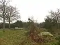 Dolmen de la Briordais