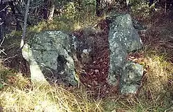 Le dolmen de la Cabre d'Or à Figanières. Le nom de cabre fait référence à une chèvre qui veille sur un trésor.