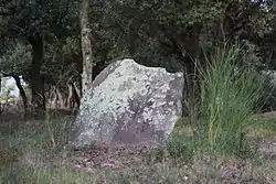 Image illustrative de l’article Dolmen de la Creu del Senyal