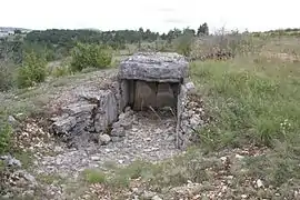 Dolmen du Buisson.