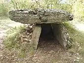 Dolmen de la Peyro Levado