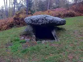 Image illustrative de l’article Dolmen de Pierre-Fade