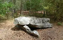 Dolmen dit Pierre-Ardroue