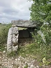 Dolmen de Rougié