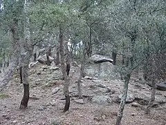 Le dolmen dans son environnement (décembre 2011).