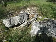 Le dolmen des Combarols.