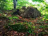 Dolmen du Grand Pontet