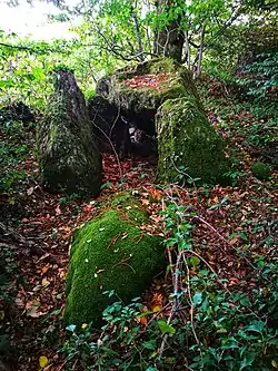 Image illustrative de l’article Dolmen du Grand Pontet