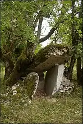 Dolmen des Agars.