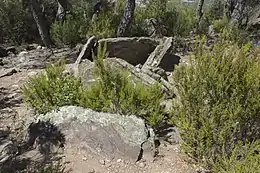 Dolmen des Collets de Cotlliure