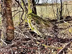 Le dolmen de la Grosse Pierre.