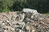 Dolmen du Bois des Géantes n°4