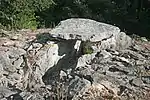 Dolmen du Bois des Géantes 2