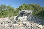 Dolmen du Bois des Géantes 3