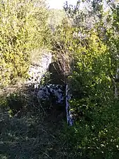 Dolmen de Bouriou n°1