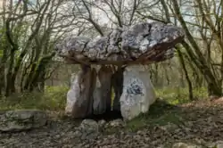 Image illustrative de l’article Dolmen du Cap del Pouech