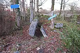 Dolmen du Cloup de Rhines.