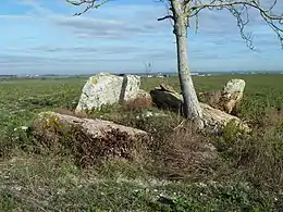 Dolmen du Griffier