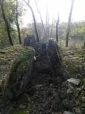 Dolmen du Pech Curet