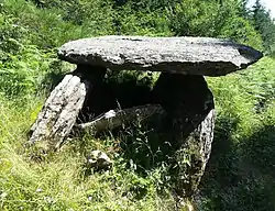 Image illustrative de l’article Dolmen du Plo de Laganthe