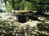 Dolmen d'Agranel