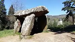 Image illustrative de l’article Dolmen du Parc