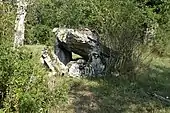 Dolmen la Peyrelevade