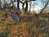 Dolmen de la Terre no 1