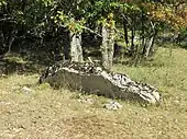 Dolmen de Caoumadou no 1