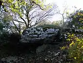 Dolmen du Douyounet