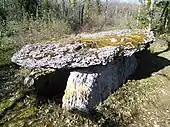 Dolmen de Martignes