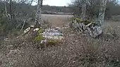 Dolmen du Mas de Tourelle