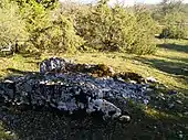 Dolmen de Sabin