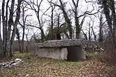 Dolmen de la Table de Roux