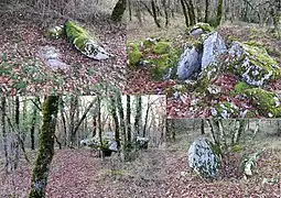 Dolmens des Places.