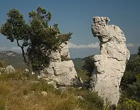 Une dolomie (roche) sur la montagne de la Loube