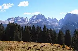 Les Dolomites de Brenta dans l'ouest du Trentin, insérées dans le parc naturel Adamello-Brenta.
