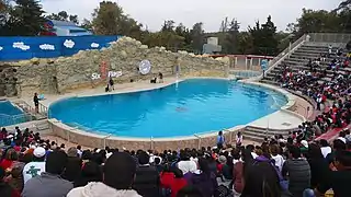 Bassin du delphinarium du Six Flags Mexico.