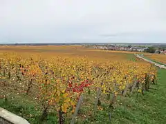 Les climats du vignoble de Bourgogne.