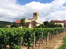 La chapelle vue depuis les vignes qui l'environnent.