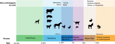 Frise chronologique de l'apparition des principaux animaux domestiques ou familiers