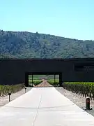 Cave Dominus à Napa Valley.