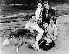 Description de l'image Donald Keeler, Gay Goodwin, Lee Erickson, and Tommy Rettig - Lassie and Friends.jpg.